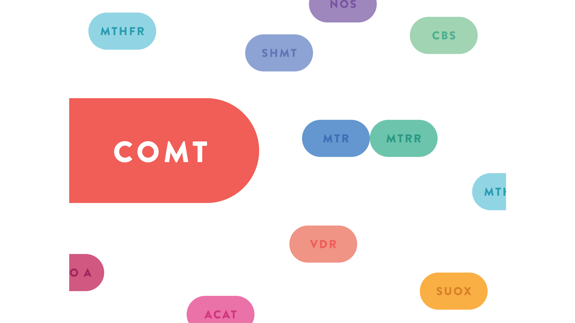 What is a COMT gene mutation?